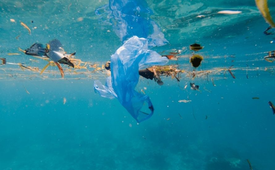 How Long Does It Take For Plastic To In The Ocean? Science