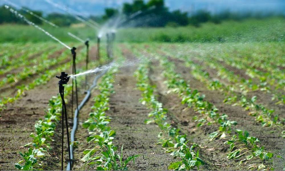 في الزراعة، يتم استخدام مزايا بلاستيك البولي إيثيلين منخفض الكثافة في صناعة أنابيب الري